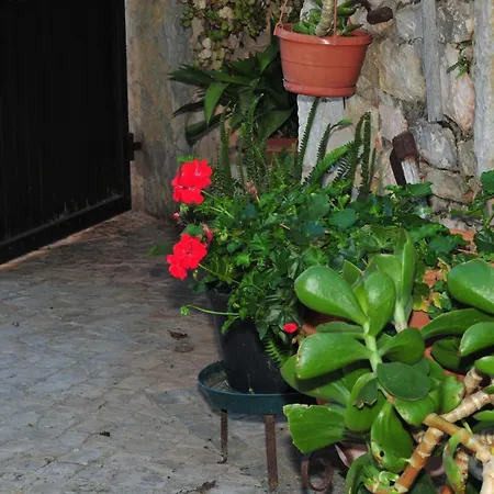 Quinta Eiras Пенела