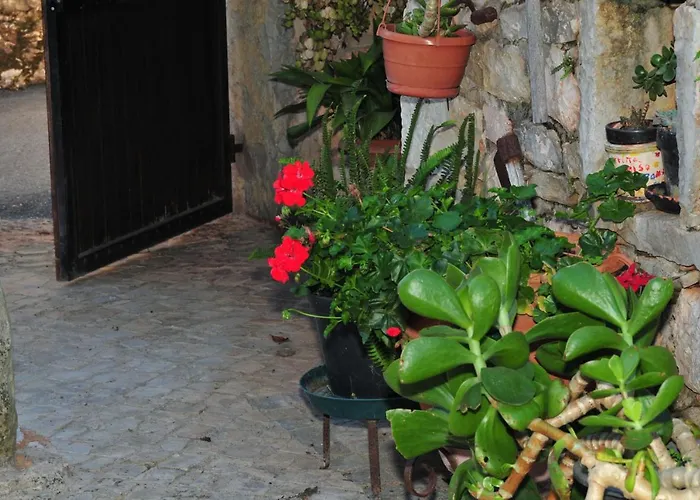 Quinta Eiras Penela